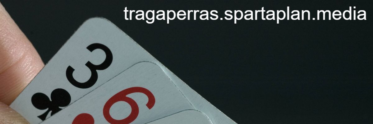 tragaperras.spartaplan.media tragaperras.spartaplan.media
